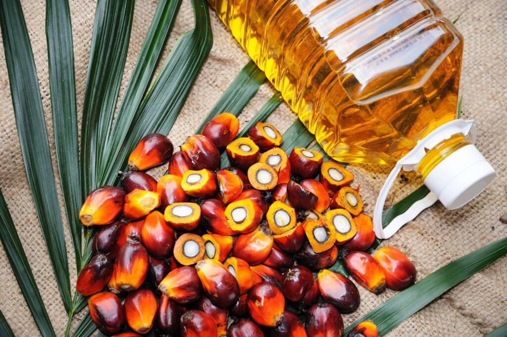 Plam Oil